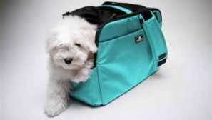 Účel nákupu tašek pro psy malých a středních plemen